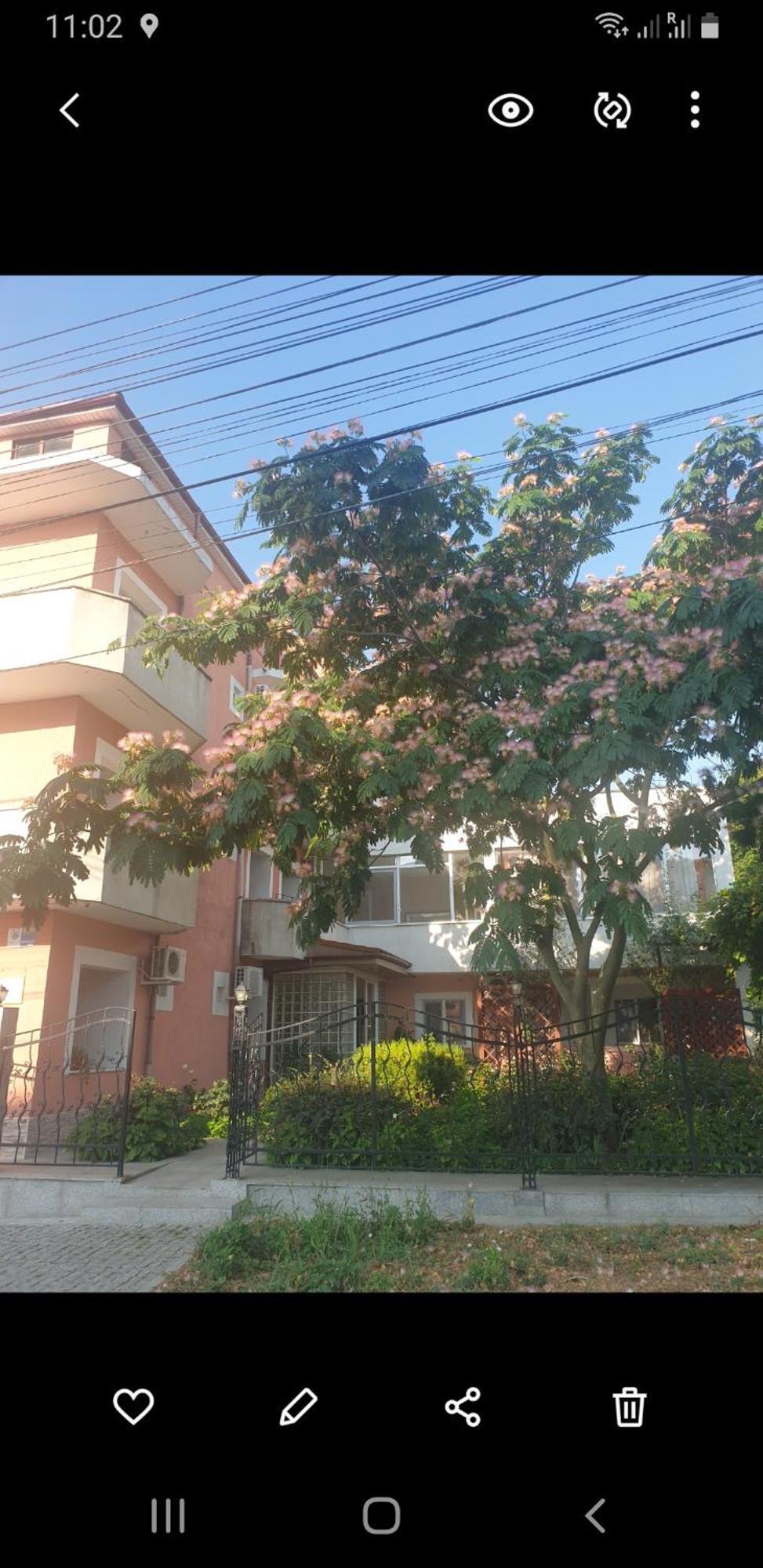 אפורי נורד Hotel Laguna מראה חיצוני תמונה